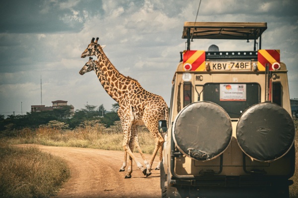 Amboseli Road Safaris Kenya