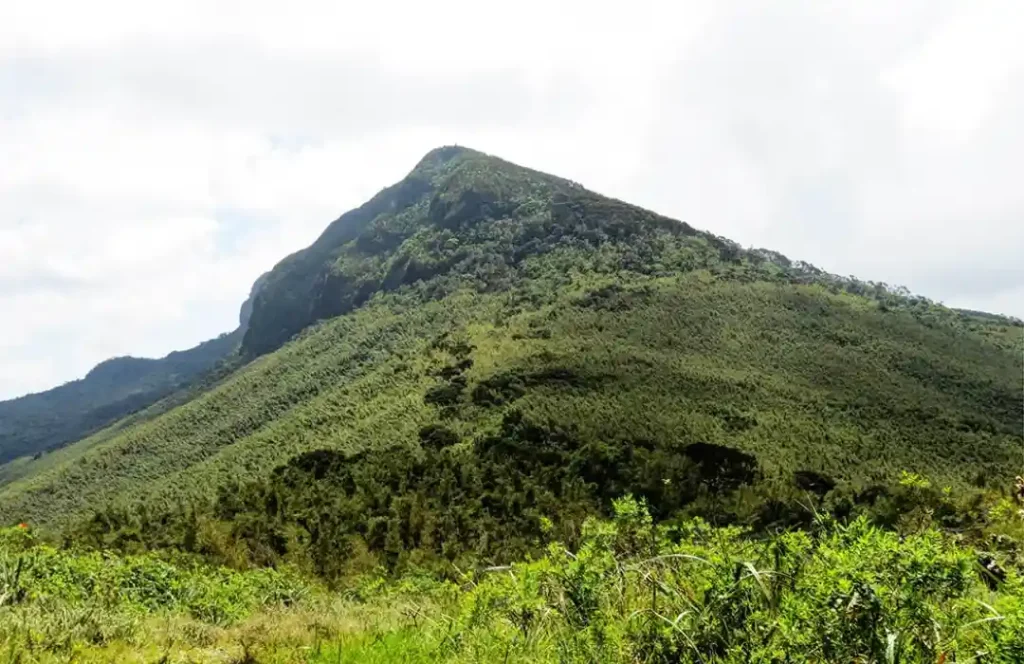 Hiking-Safari-–-Elephant-Hills-–-Aberdares.