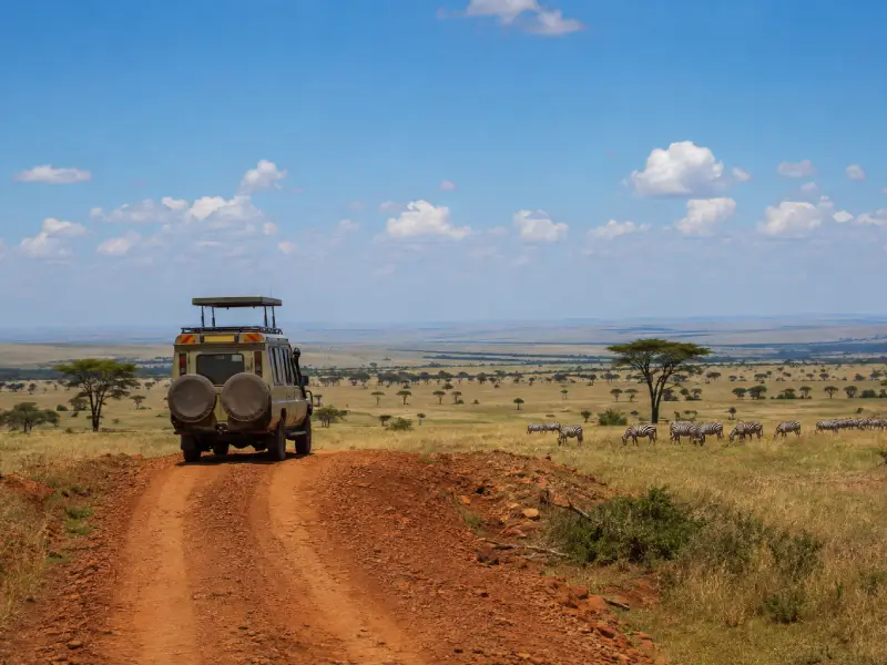 Private Family Masai Mara Road Safari | 3 Days 2 Nights