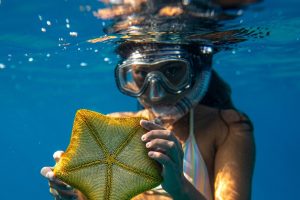 mombasa beach snorkelling tour