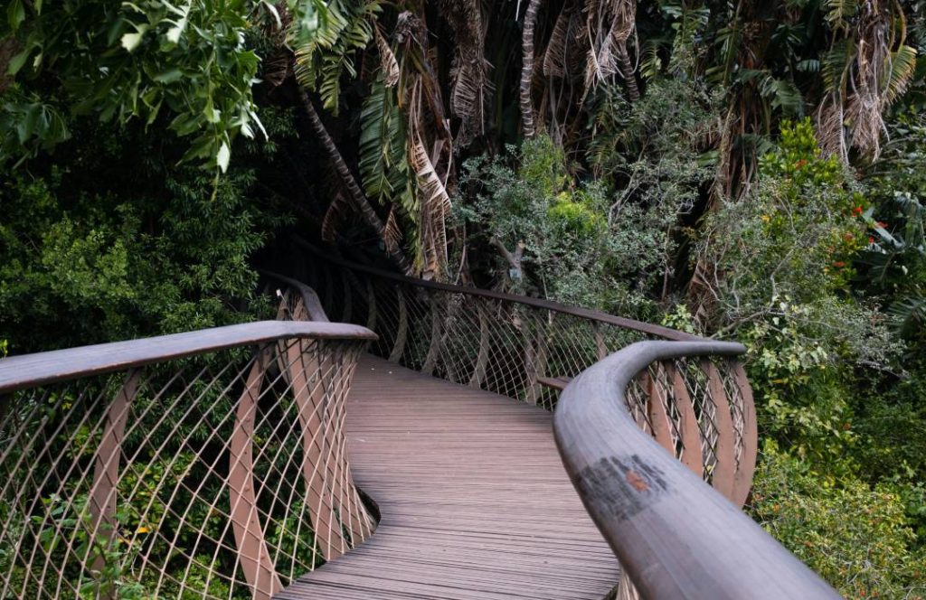 Canopy Walk Tours - Camp Ndunda Falls Embu