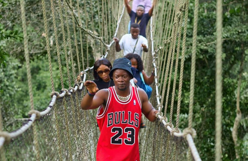 Canopy walk Tours - Ngare Ndare Forest Nanyuki