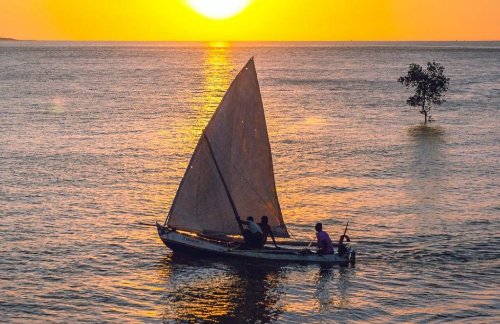 Dhow Cruise Tours - Tamarind Evening Dinner, Mombasa