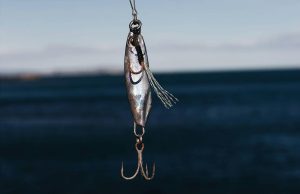Fishing Tours - Watamu Beach, Watamu