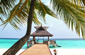 Kenya Luxury Safari - Flying, Luxury Beach Resorts, Sea facing Rooms, All Inclusive Meals, Swahili Culture, Min 4 Days 3 Nights - Diani