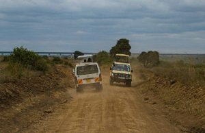Kenya Midrange Safaris - Mid range Resort, Pool facing rooms, HB, Swahili Culture, Road Safari, Min 3 days 2 Nights - Diani