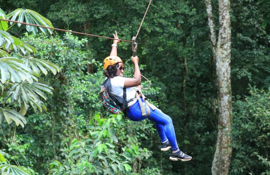 Ziplining - Ngare Ndare Forest, Nanyuki