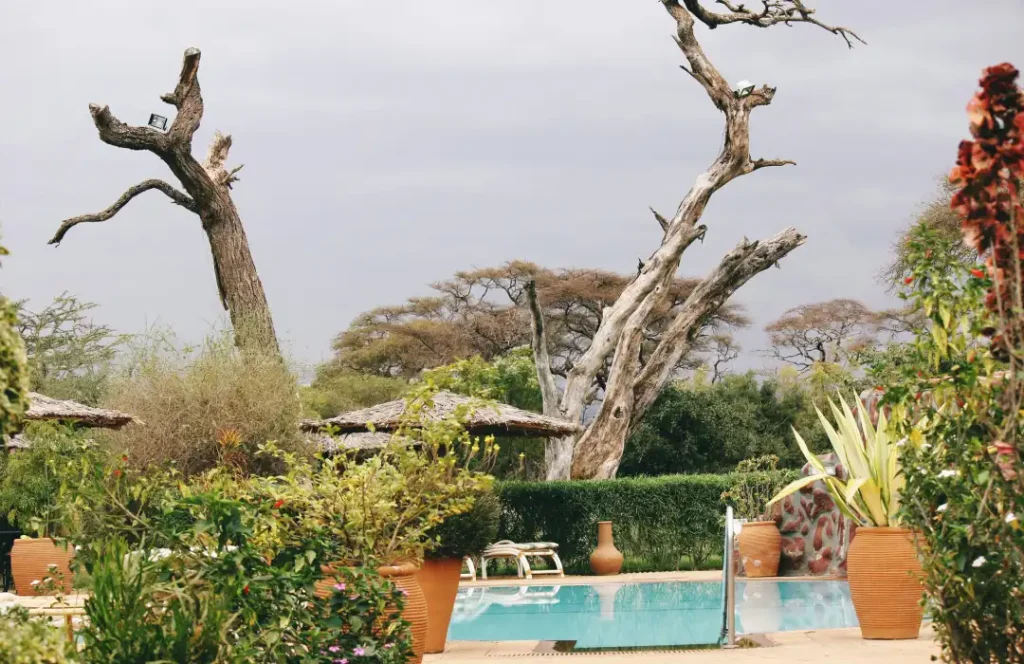 Luxury Private Hotels & Lodges - Mutara Camp - Loisaba Conservancy, Laikipia