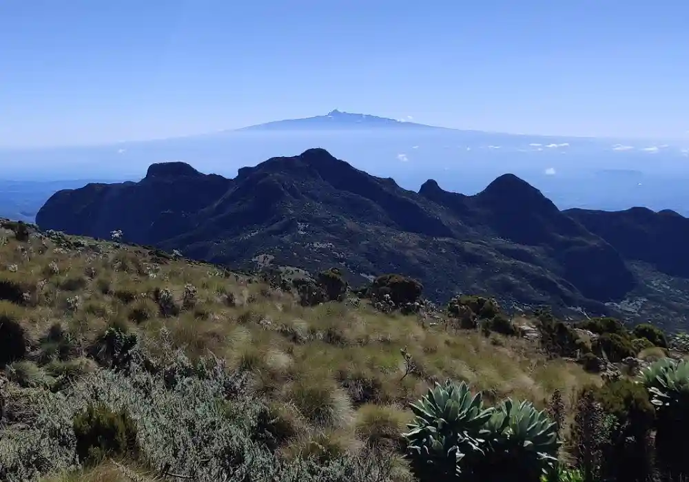 Hiking Tours - 12 Apostles - Aberdares