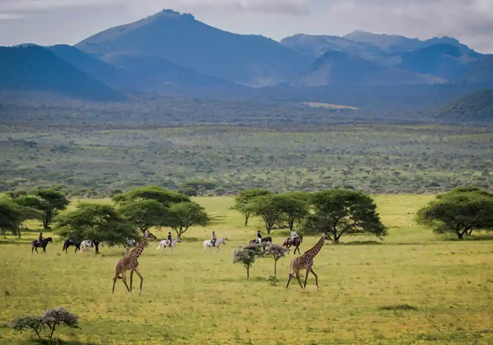 Hiking Tours - Chyulu Hills