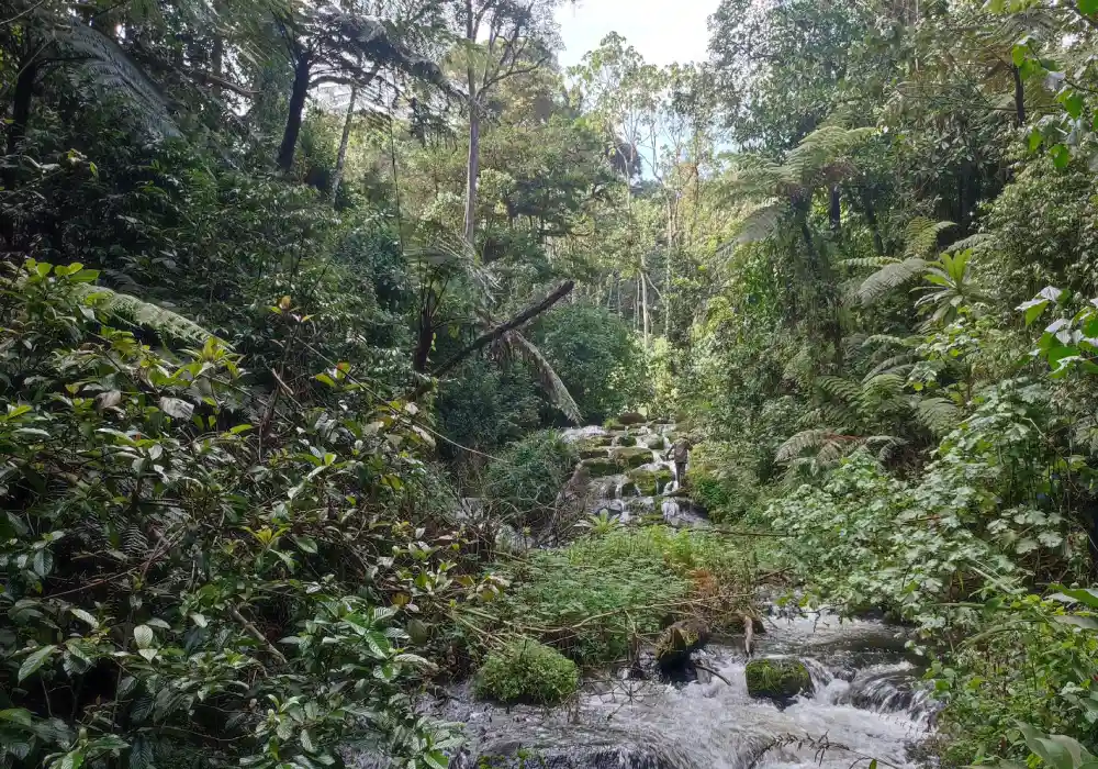 Hiking Tours - Kihuri Riverline