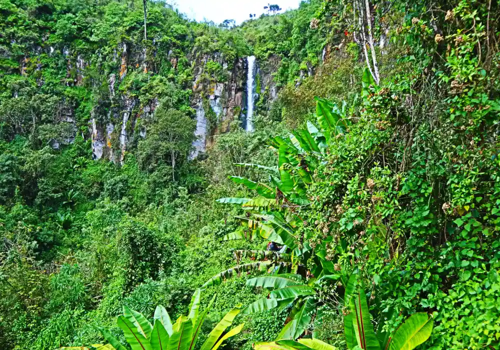 Hiking Tours - Kimakia Waterfalls