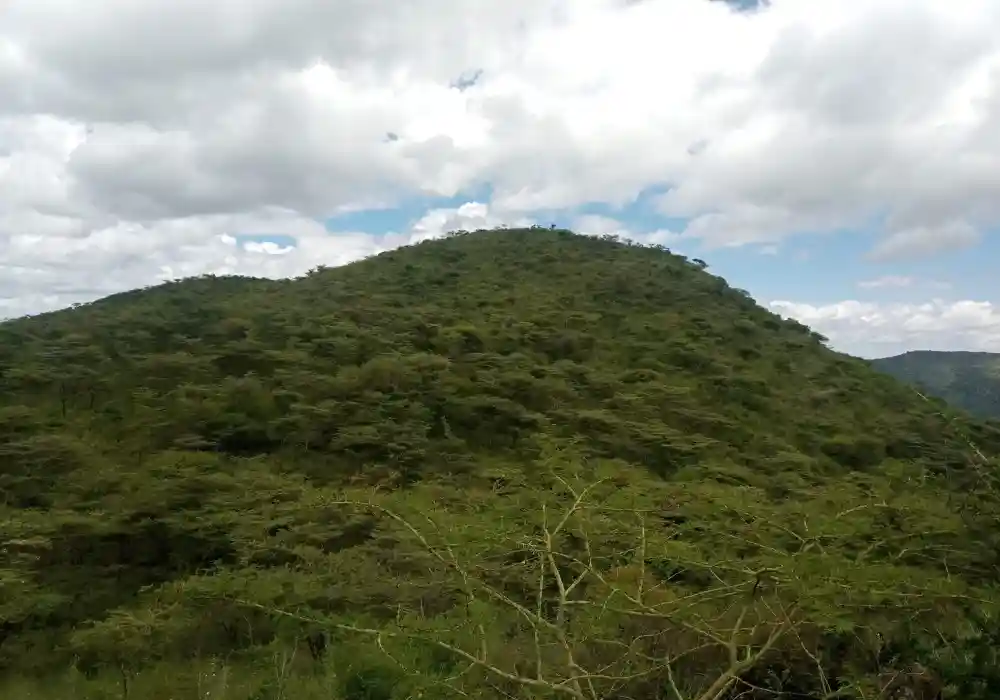 Hiking Tours - Mt Olorgesailie