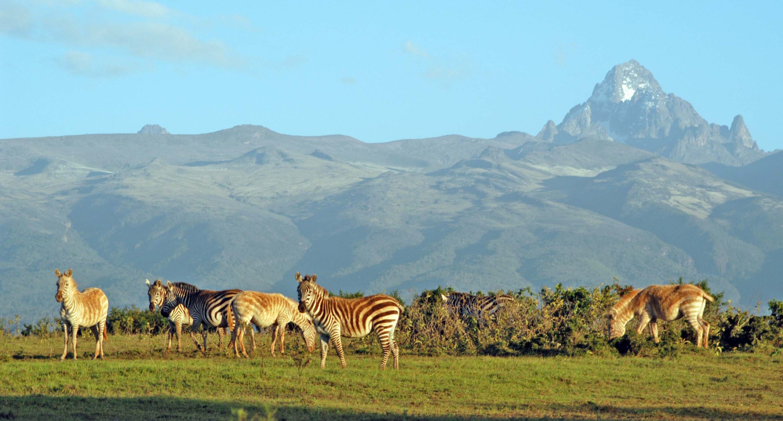 Mount-Kenya-National-Park entry fee