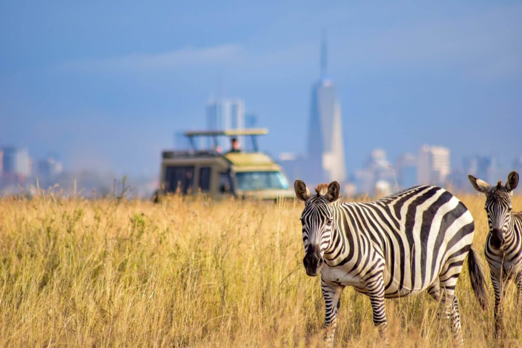 Nairobi National Park Tours safaris with Baecation Adventures Kenya