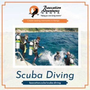 Best scuba diving tours in Kenya