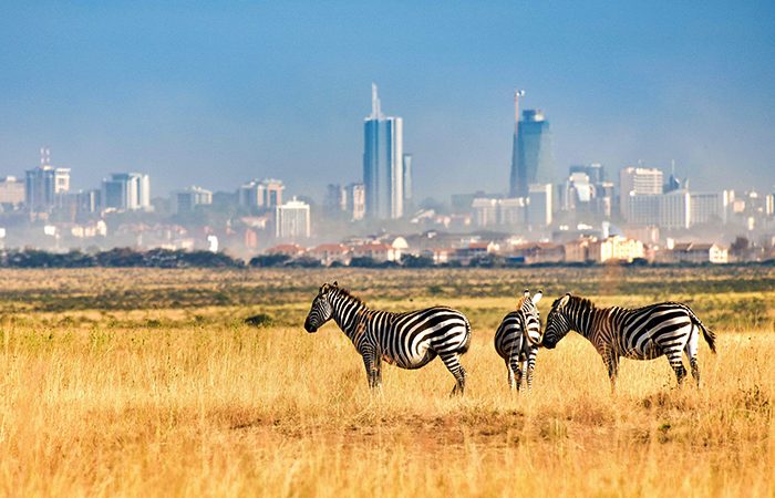 big five safari tour in kenya