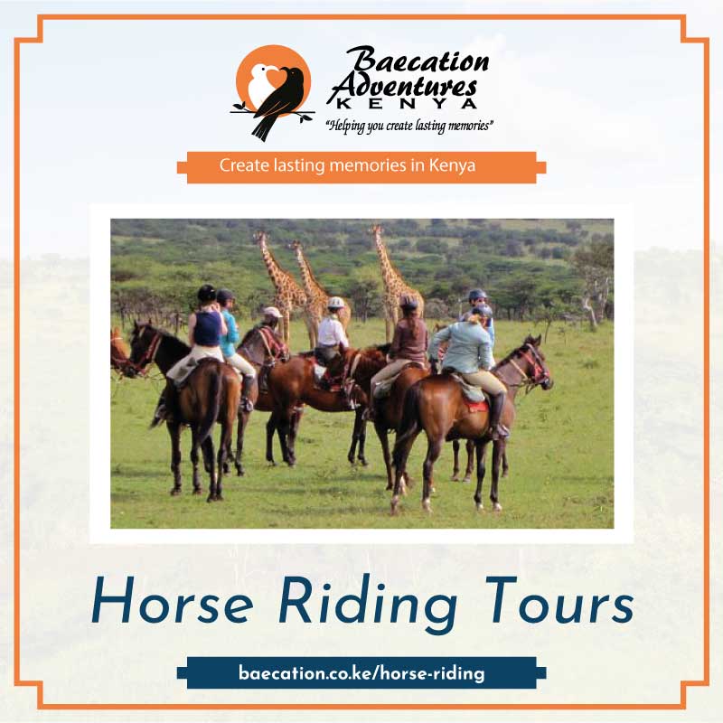 Baecation: The Best Horse Riding Tours In Kenya