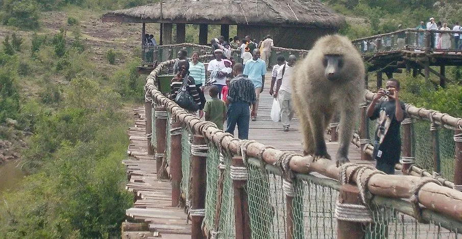 nairobi safari walk entry fee