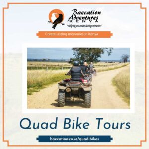 Baecation: Best Quad Bike Tours in Kenya