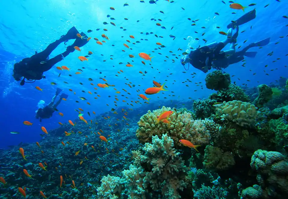 sea diving tours in kenya