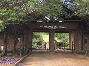 Explore Maasai Mara - Baecation Adventures