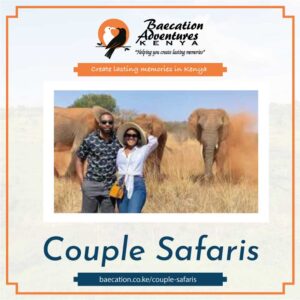 couple-safaris-at-baecation