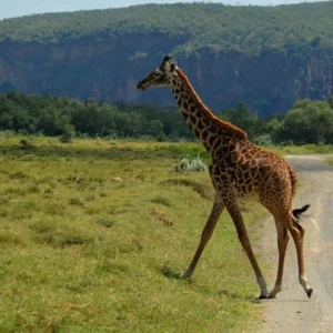 hells gate national park naivasha safaris at baecation