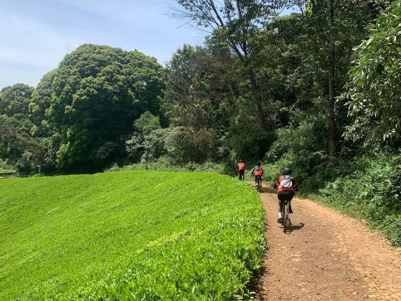 Electric Biking at Twin Rivers Tigoni with Baecation Adventures