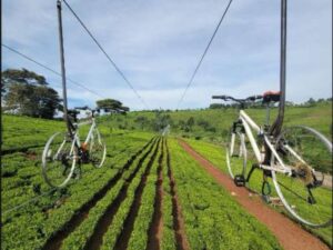 Sky Biking Tours at Twin Rivers Resort Tigoni with Baecation Adventures