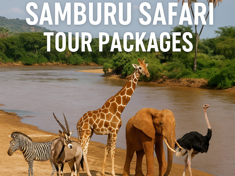 Best Samburu Safari Tour Packages with Baecation Adventures