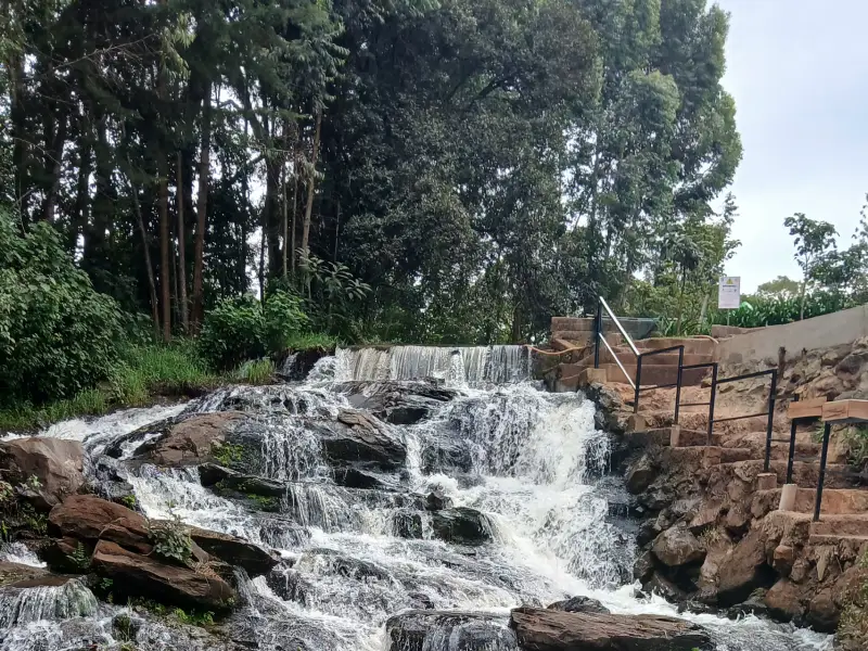 Twin Rivers Resort Tigoni_ The Complete Couples' Guide to Prices, Activities & Location