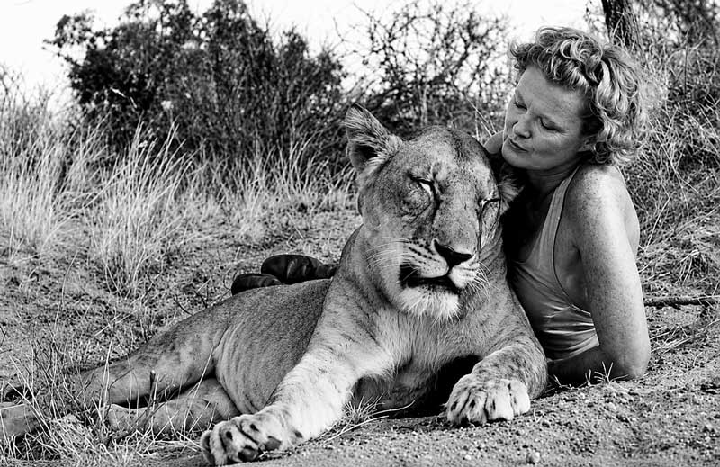 born-free-country-couple-joy-adamson-elsa-lioness-meru-national-park-kenya