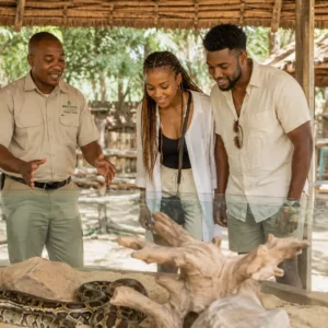 The best Watamu tours - Gede Ruins, Snake Park, butterfly - Baecation Adventures