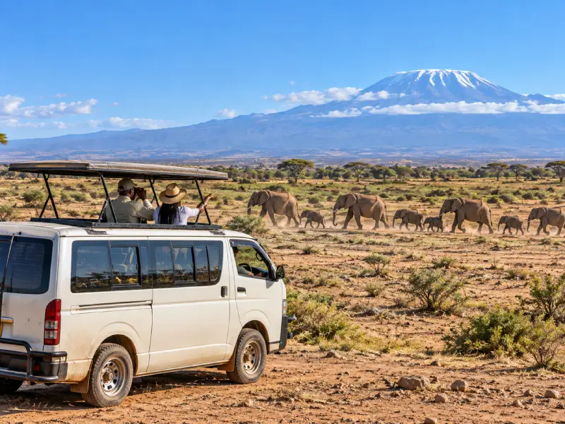 Affordable Birthday Amboseli Safari 3 Days 2 Nights