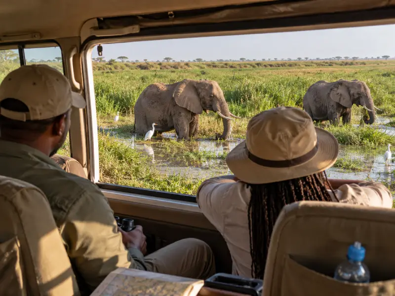 Affordable Getaway Amboseli Safari 3 Days 2 Nights