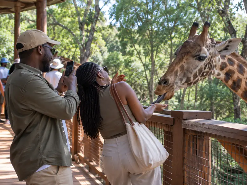 Affordable Getaway Nairobi Escape 3 Days 2 Nights