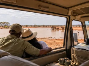 Affordable Getaway Tsavo SGR Safari 3 Days 2 Nights