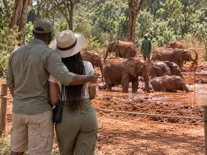 Affordable Honeymoon Nairobi Escape 3 Days 2 Nights Baecation Adventures