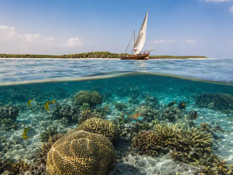 Snorkeling in Kenya Guide - Best Spots, Prices, Seasons