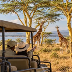 Lake Elementaita Romantic Couple Tours & Safaris - Baecation